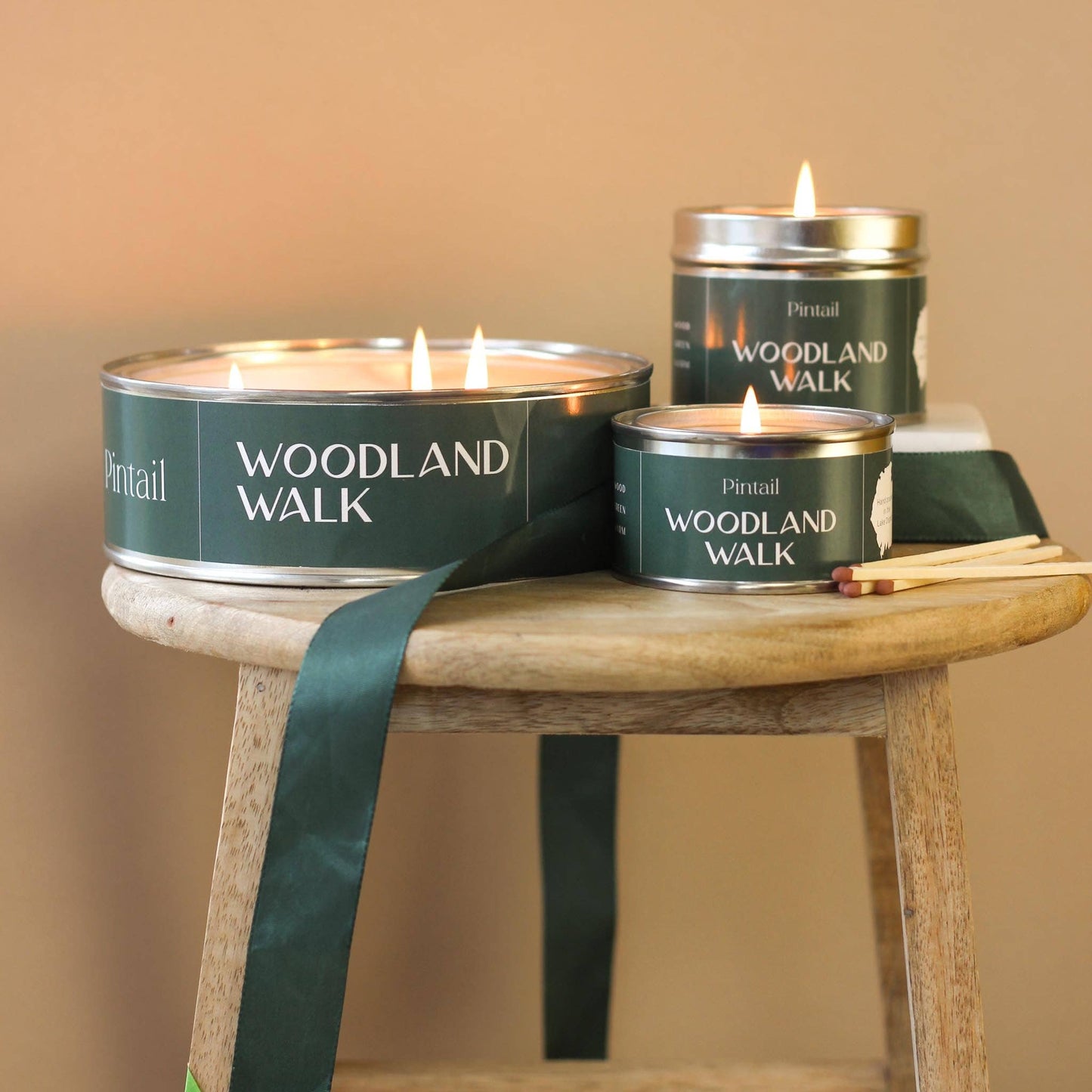 Woodland Walk Pintail Paint Pot Candle