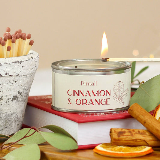 Cinnamon & Orange Pintail Paint Pot Candle