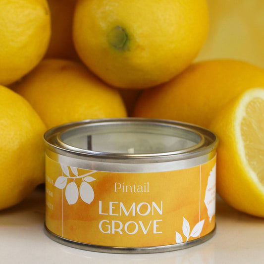 Lemon Grove Paint Pintail Paint Pot Candle