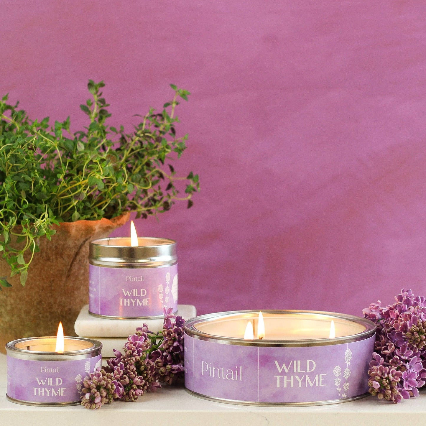Wild Thyme Pintail Paint Pot Candle