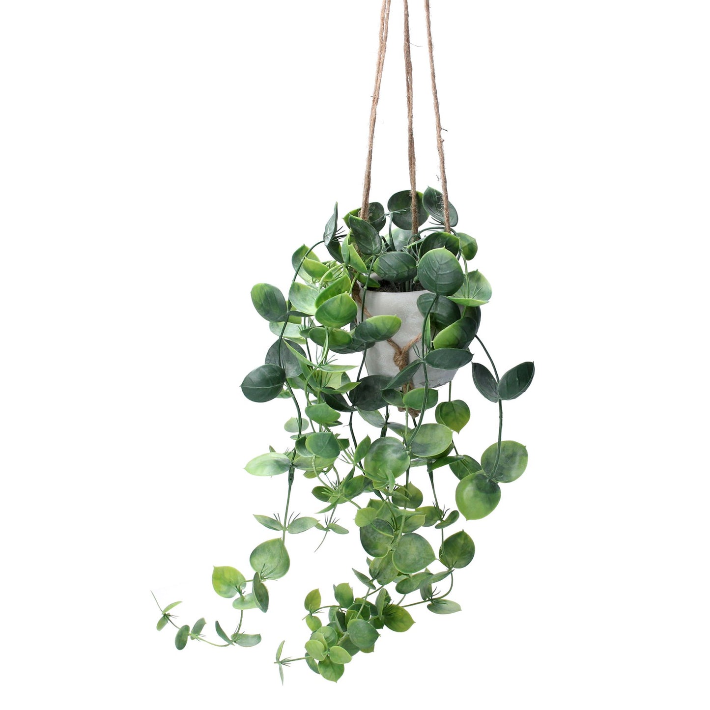 Faux Trailing Hoyas Hanging Plant