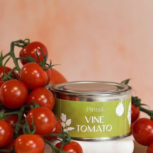 Vine Tomato Pintail Paint Pot Candle