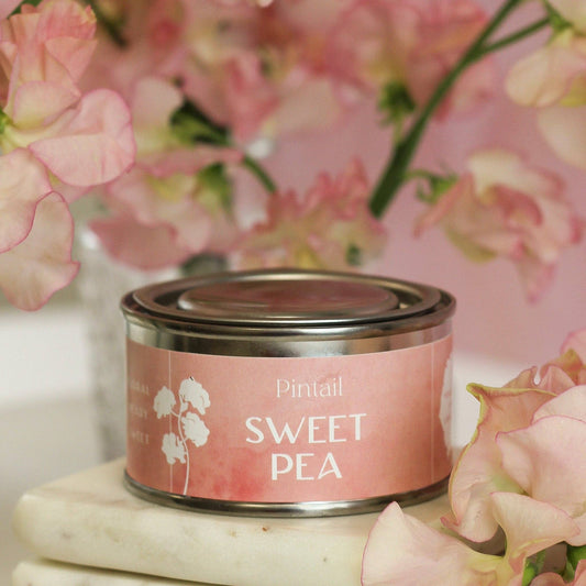 Sweet Pea Petite Pintail Paint Pot Candle