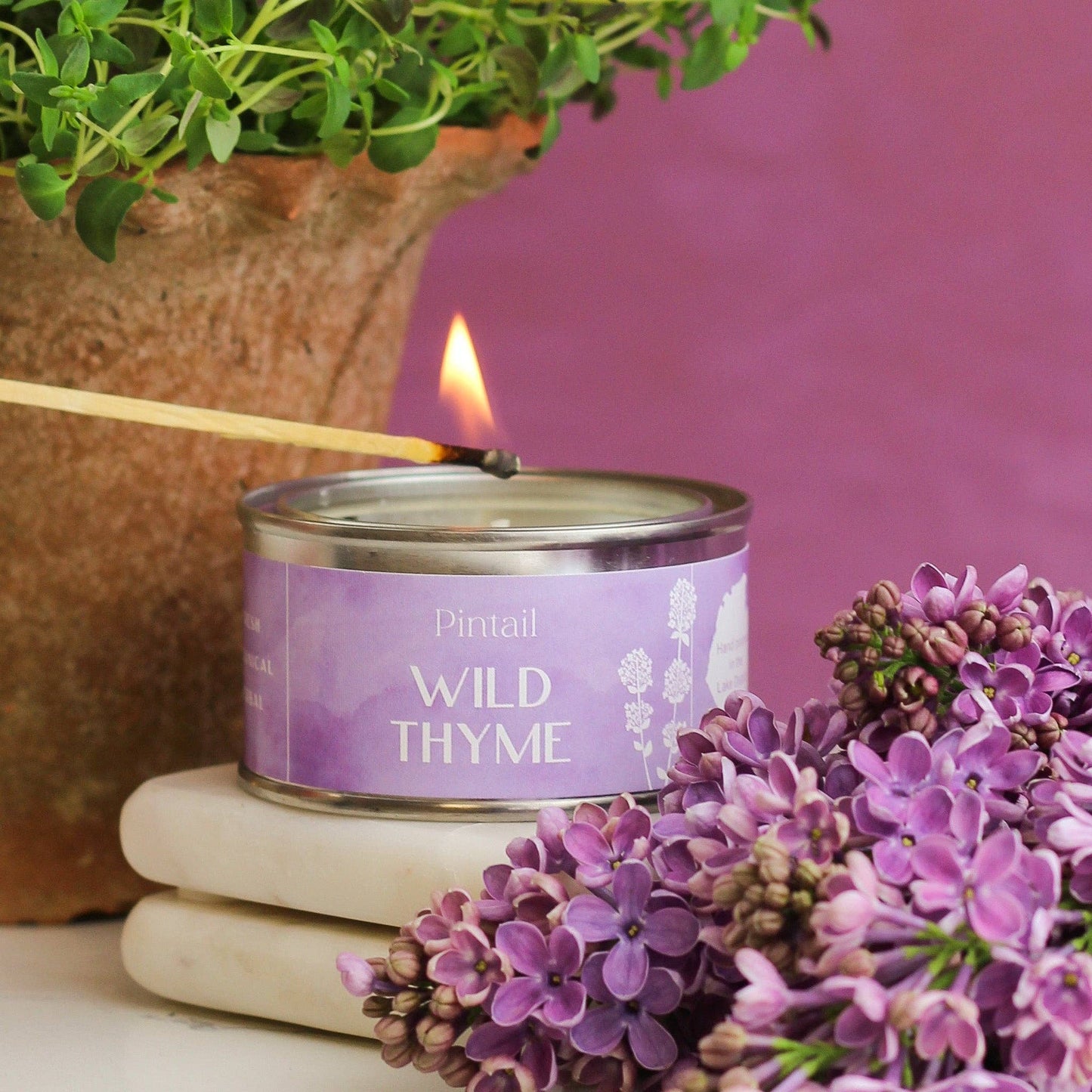Wild Thyme Pintail Paint Pot Candle