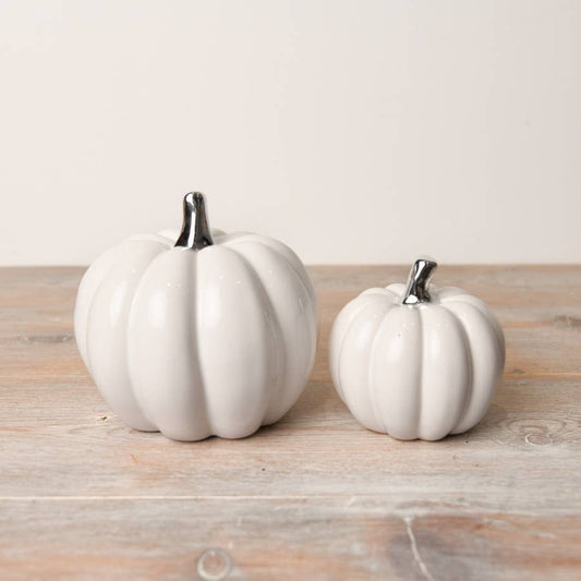 Small white pumpkin with silver stalk