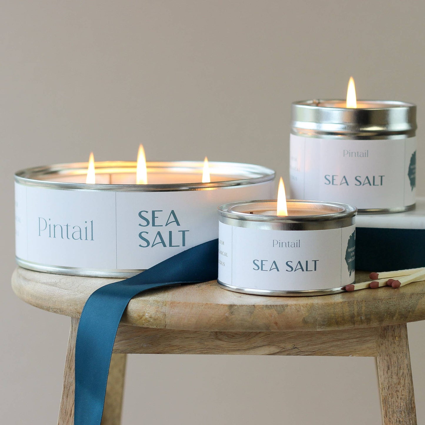 Sea Salt Pintail Paint Pot Candle