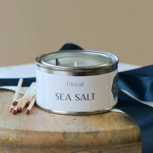 Sea Salt Pintail Paint Pot Candle