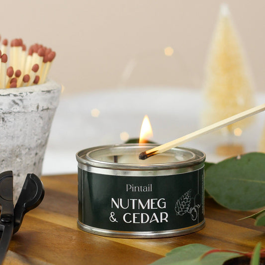 Nutmeg & Cedar Pintail Paint Pot Candle