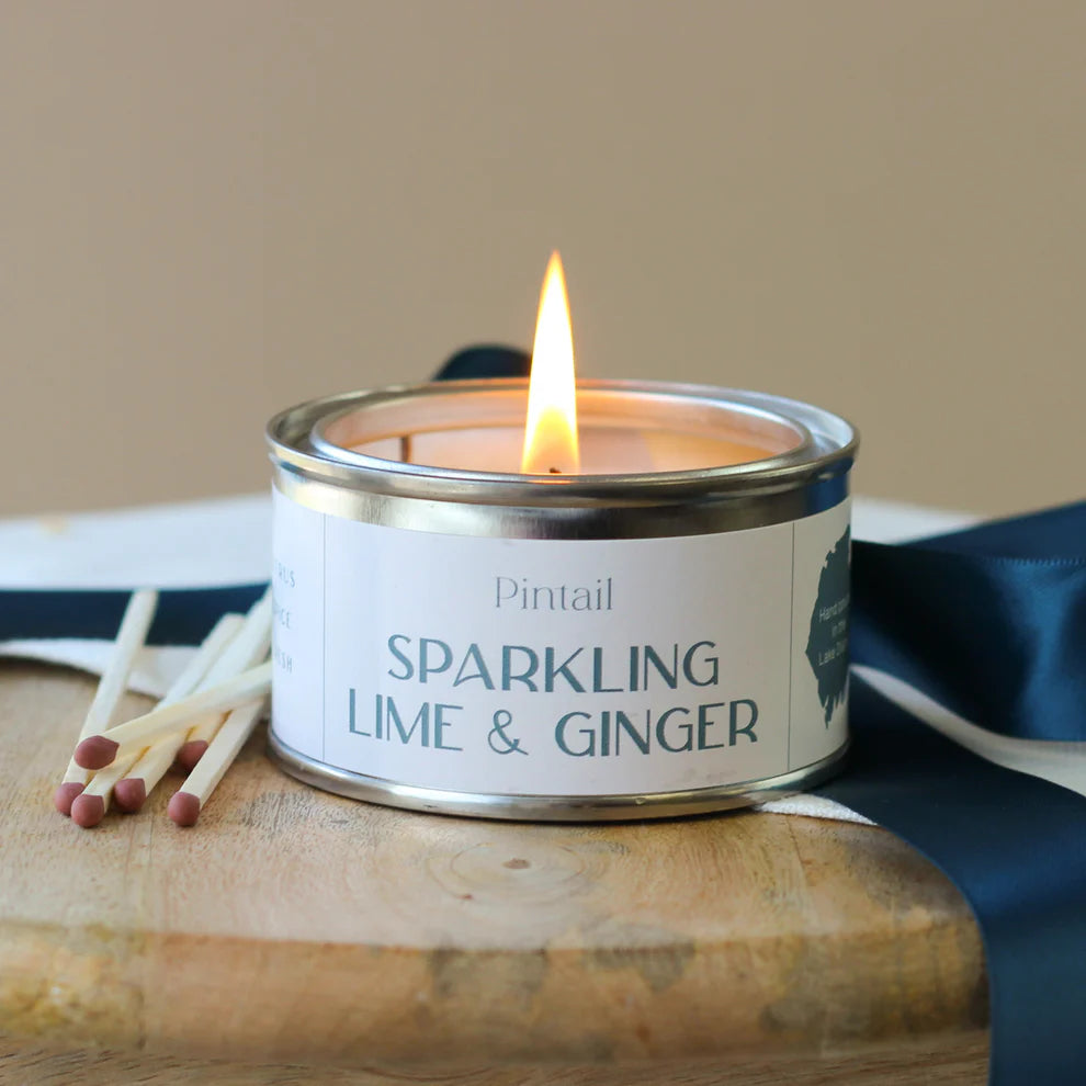 Sparkling Lime and Ginger Pintail Paint Pot Candle