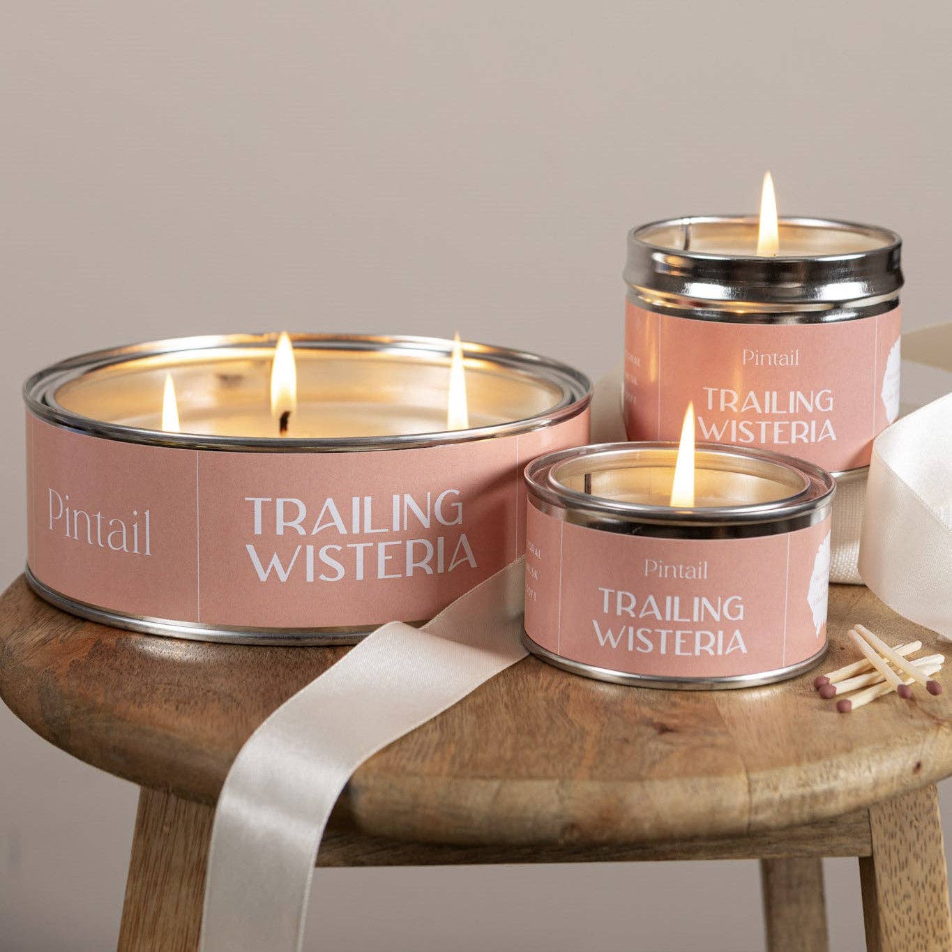 Trailing Wisteria Pintail Paint Pot Candle