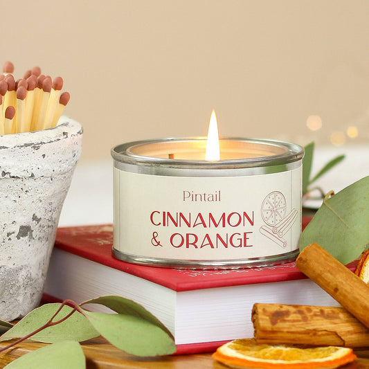 Cinnamon & Orange Pintail Paint Pot Candle