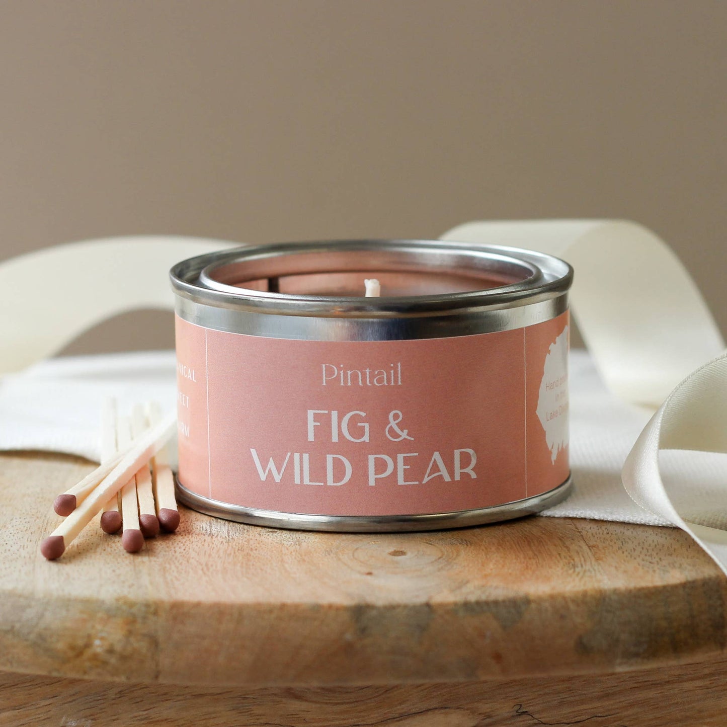 Fig and Wild Pear Pintail Paint Pot Candle
