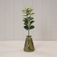 Olive Green Glass Ribbed Bottle
