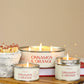 Cinnamon & Orange Pintail Paint Pot Candle