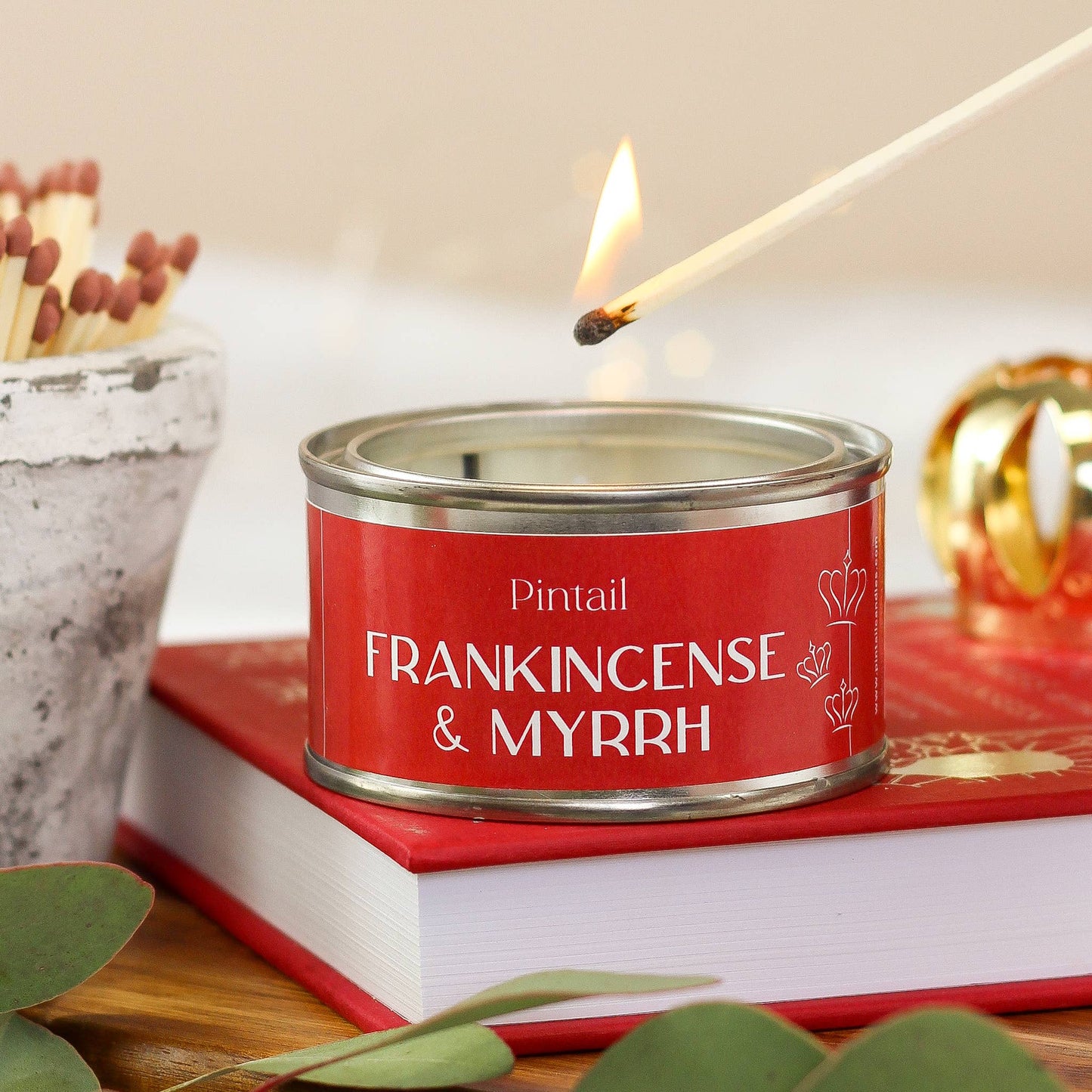 Frankincense & Myrrh Pintail Paint Pot Candle