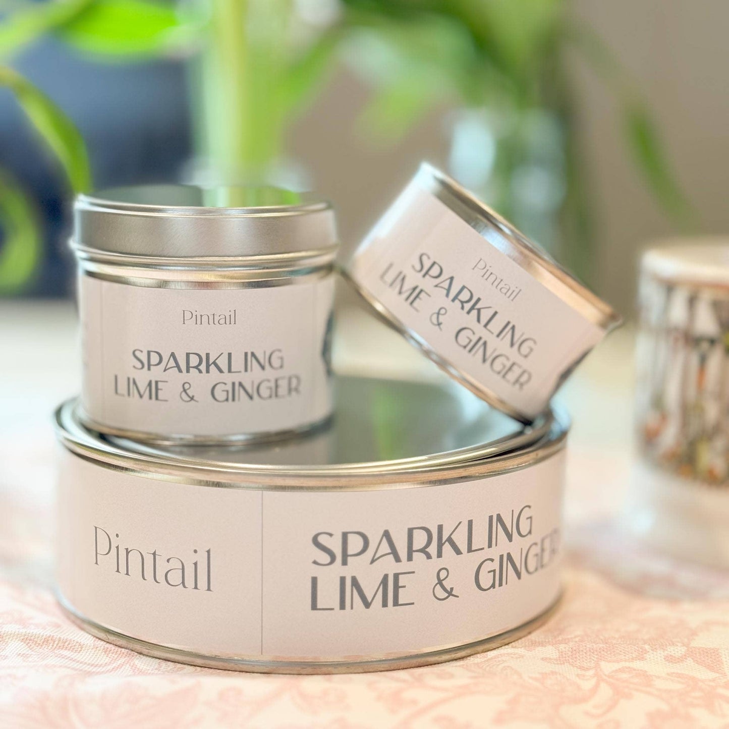 Sparkling Lime and Ginger Pintail Paint Pot Candle