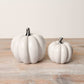 Medium white pumpkin with silver stalk