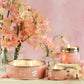 Sweet Pea Petite Pintail Paint Pot Candle