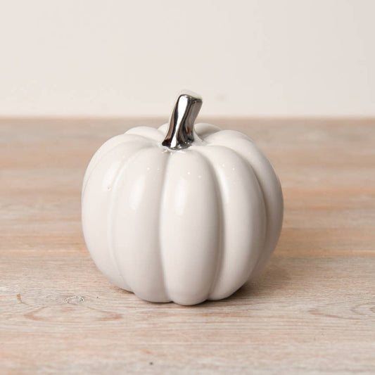 Medium white pumpkin with silver stalk