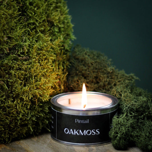 Oakmoss Pintail Paint Pot Candle