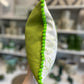 Light Green Leather Wild Cushion.