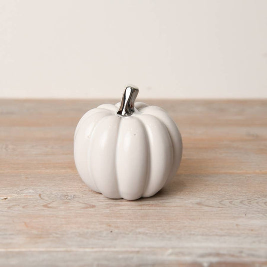 Small white pumpkin with silver stalk