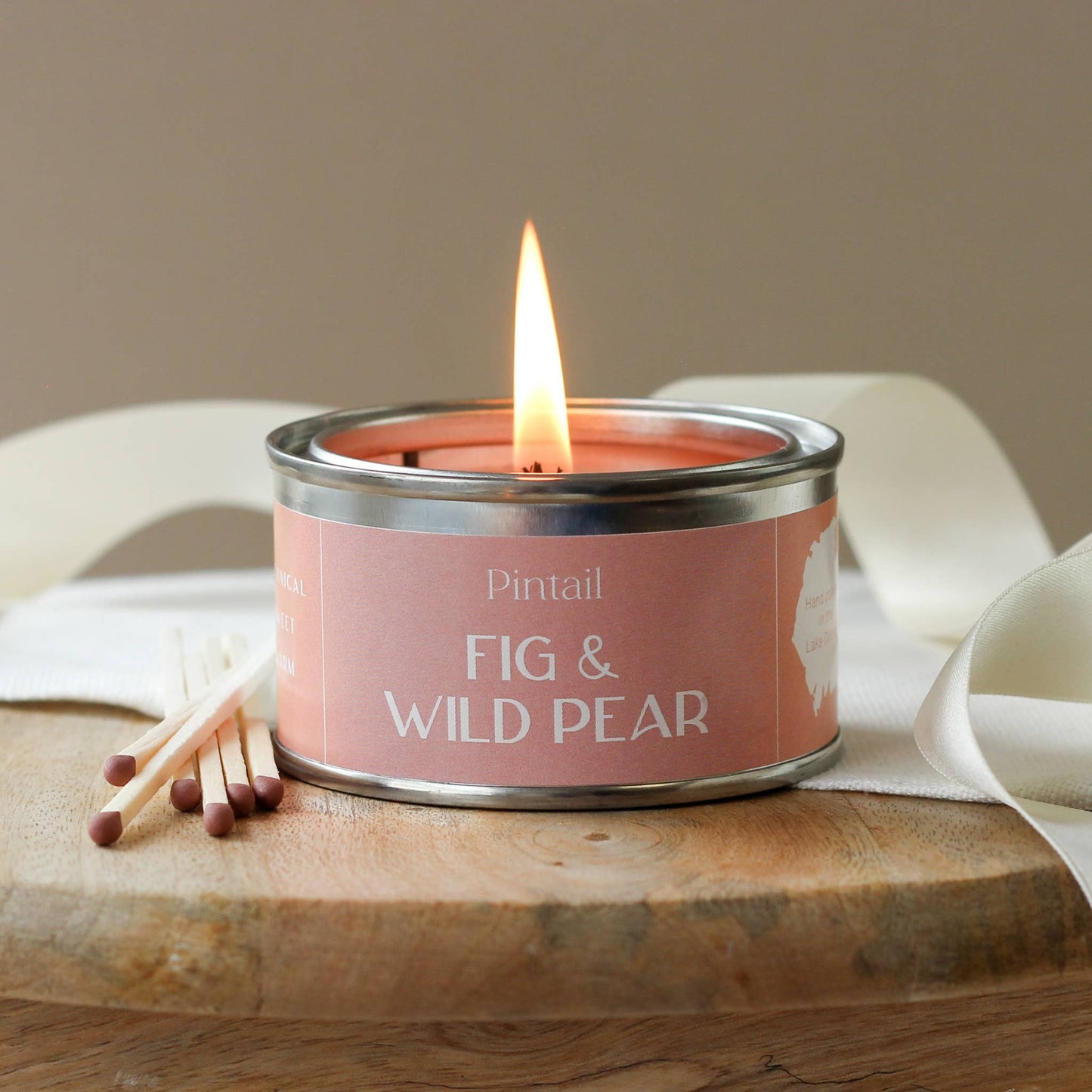 Fig and Wild Pear Pintail Paint Pot Candle