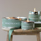 Honeysuckle Pintail Paint Pot Candle