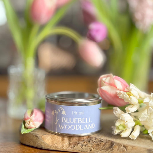 Bluebell Woodland Pintail Paint Pot Candle