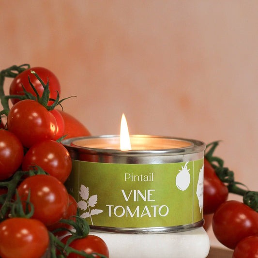 Vine Tomato Pintail Paint Pot Candle