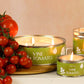 Vine Tomato Pintail Paint Pot Candle