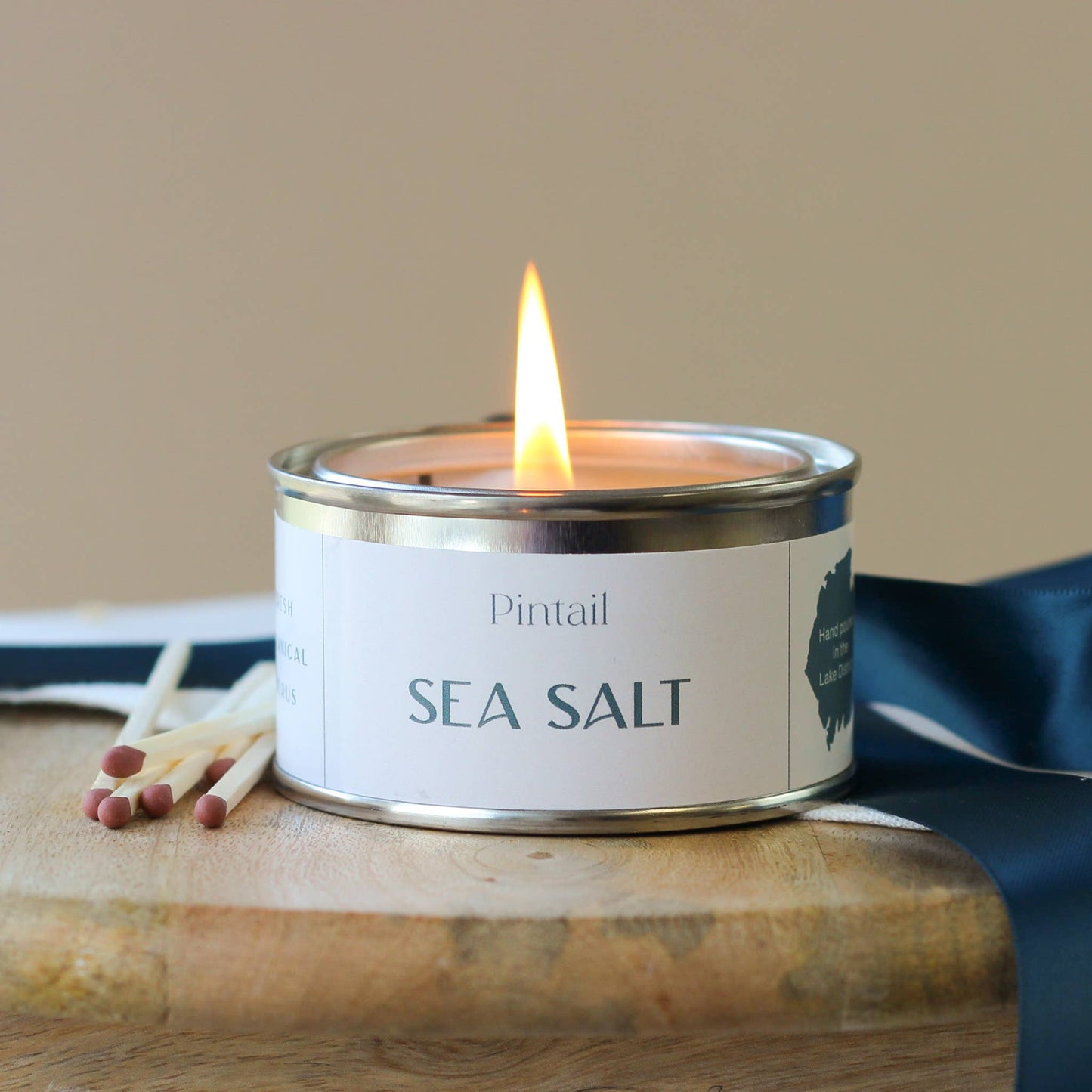 Sea Salt Pintail Paint Pot Candle