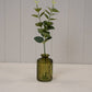 Olive Green Ribbed Glass Bottle