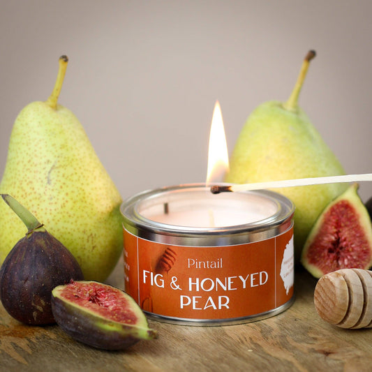 Fig & Honeyed Pear Pintail Paint Pot Candle