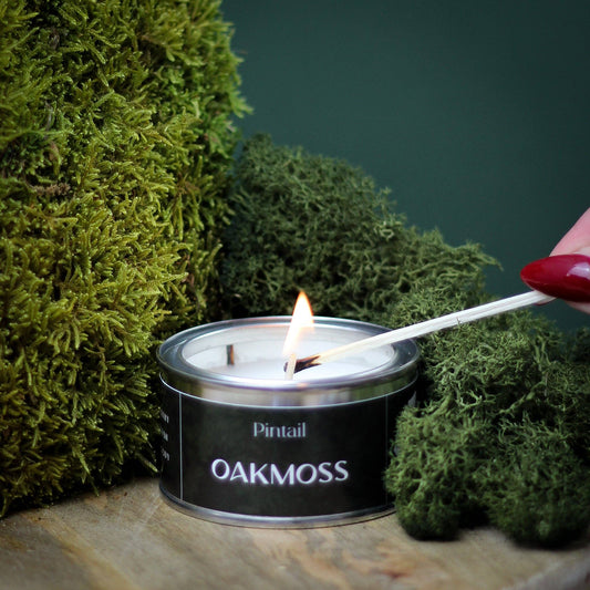 Oakmoss Pintail Paint Pot Candle