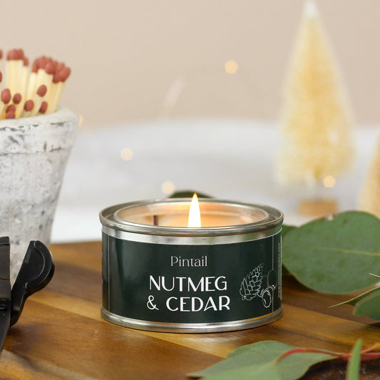 Nutmeg & Cedar Pintail Paint Pot Candle