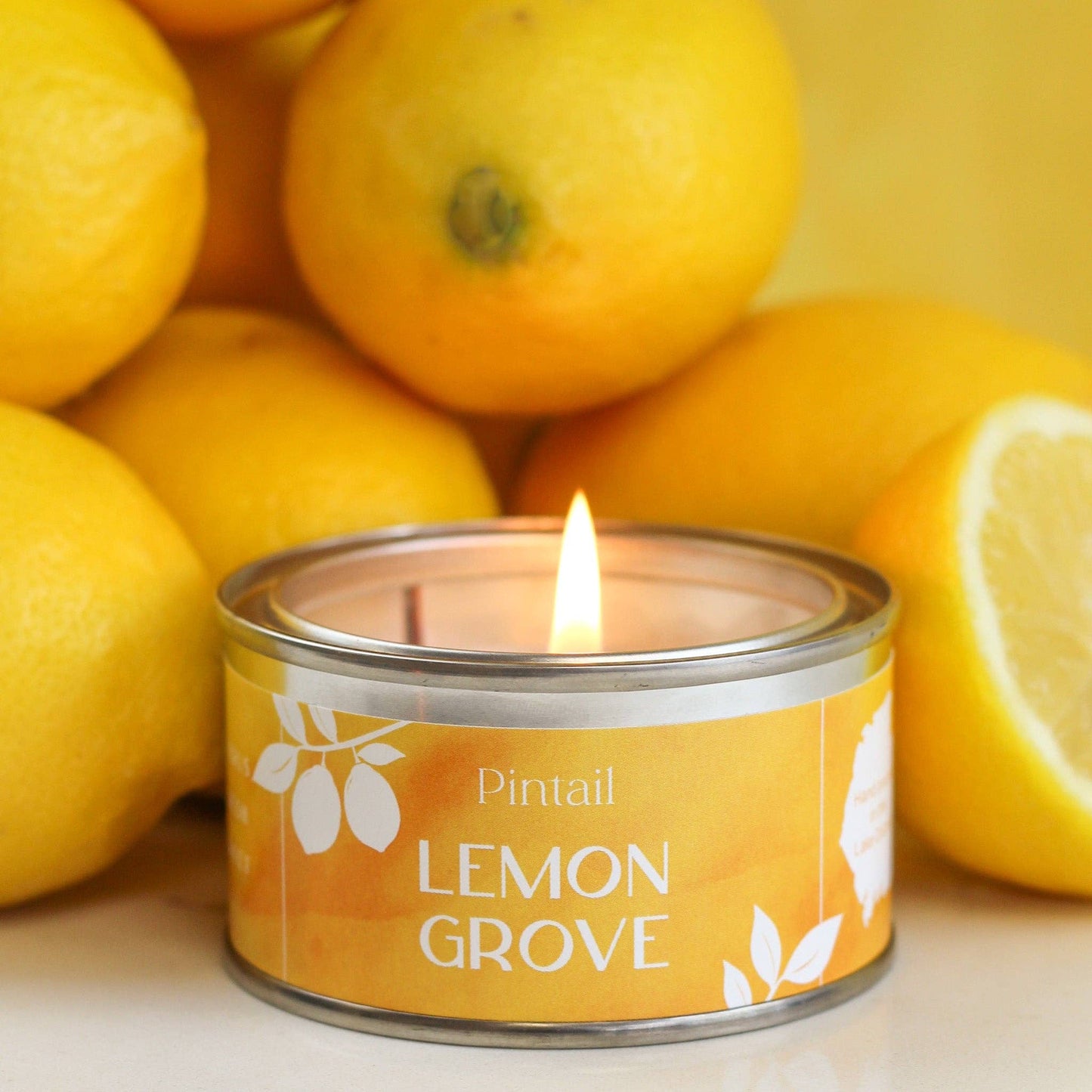 Lemon Grove Paint Pintail Paint Pot Candle