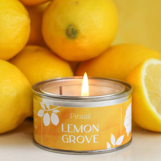 Lemon Grove Paint Pintail Paint Pot Candle
