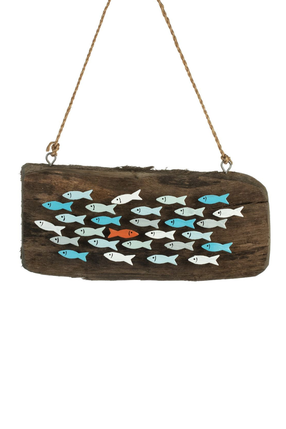 Mounted School Of Anchovies
