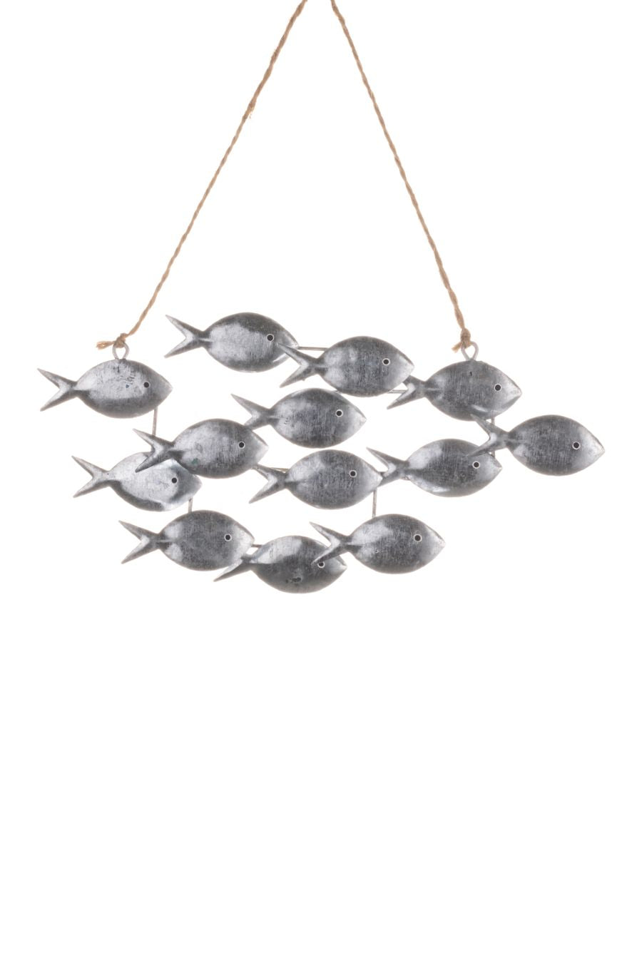 School Of Tin Lagoon Fish